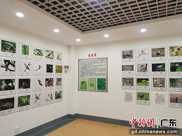 乐昌首家野生鸟类展览馆开放，设计建筑面积约170多平米